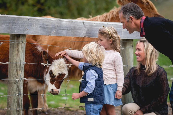 Feeding the farm animals